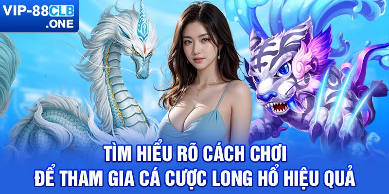 Tìm hiểu rõ cách chơi để tham gia cá cược long hổ hiệu quả 